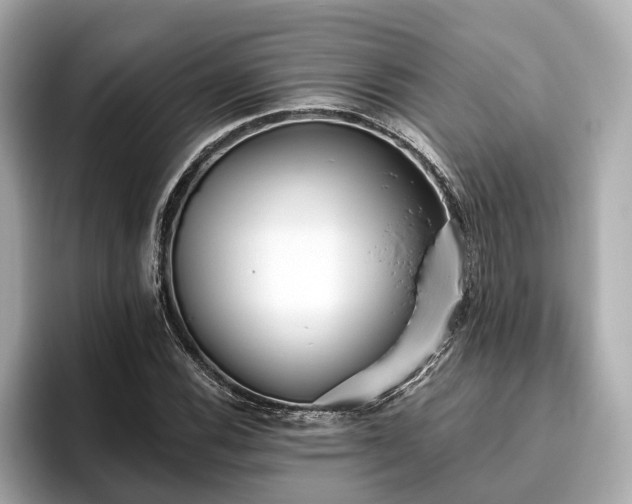 X0000096631116200802051101