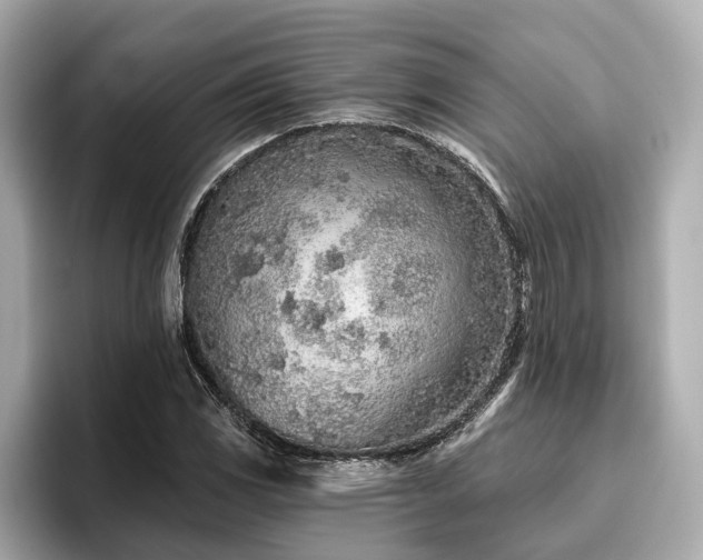 X0000096631117200802051101