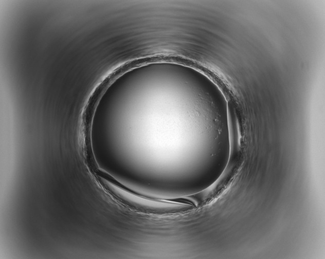 X0000096631118200802051101