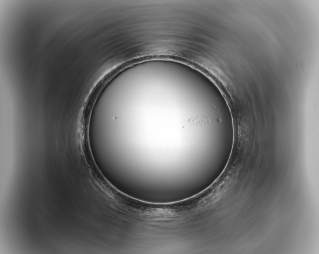 X0000096631119200802051101