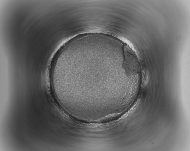 X0000096631120200802051101