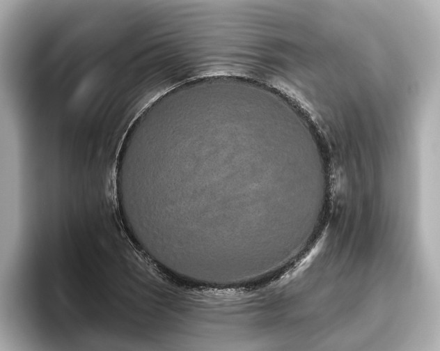 X0000096631121200802051101