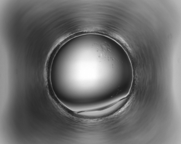 X0000096631122200802051101