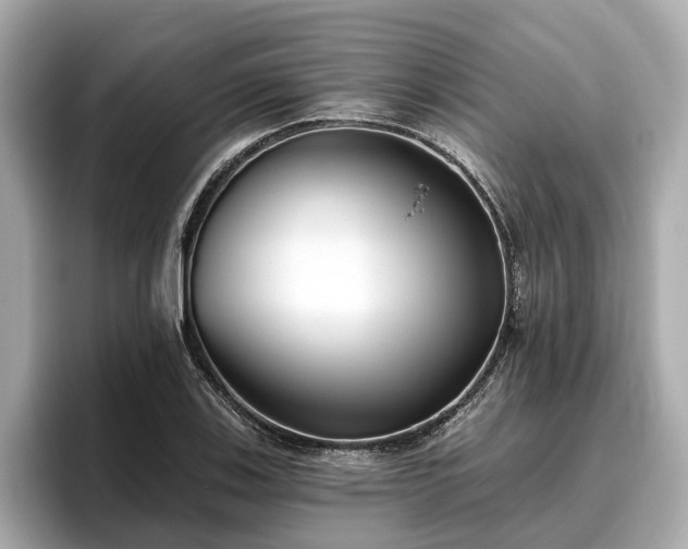 X0000096631123200802051101