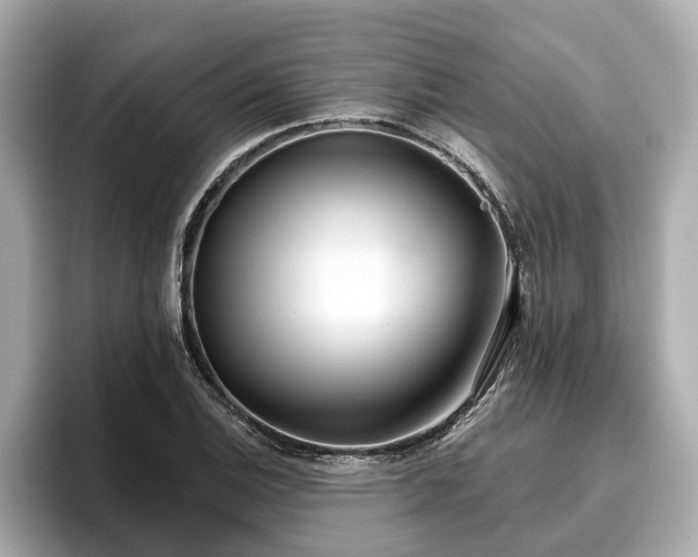 X0000096631124200802051101