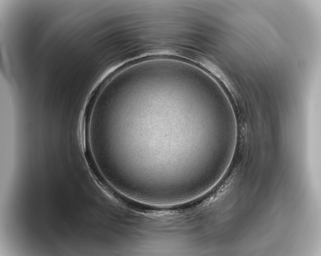 X0000096631127200802051101