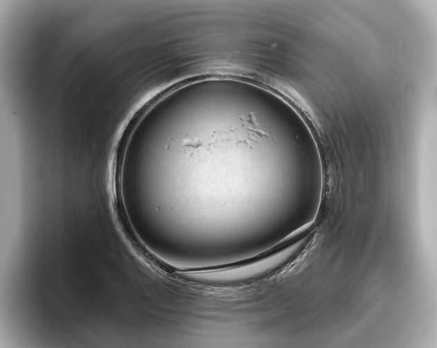 X0000096631128200802051101