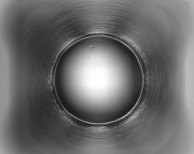 X0000096631129200802051101
