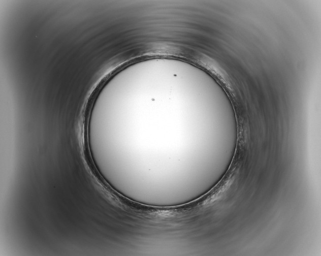 X0000096631130200802051101
