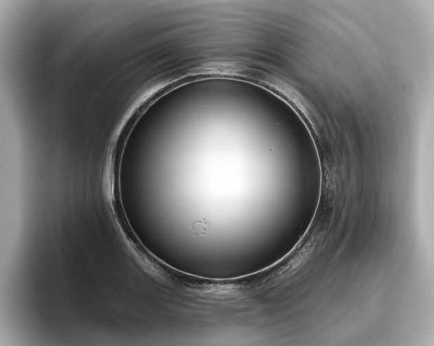 X0000096631131200802051101