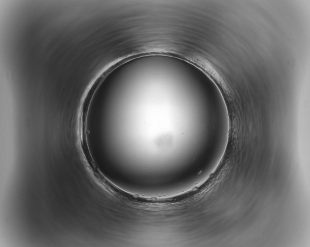 X0000096631132200802051101