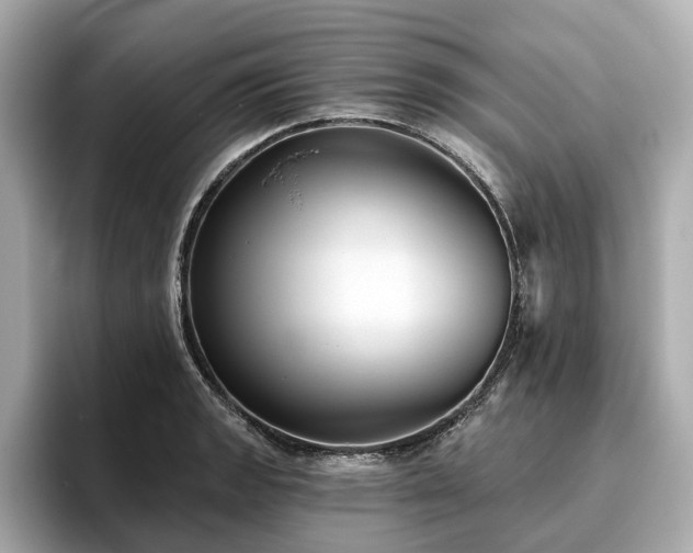X0000096631133200802051101