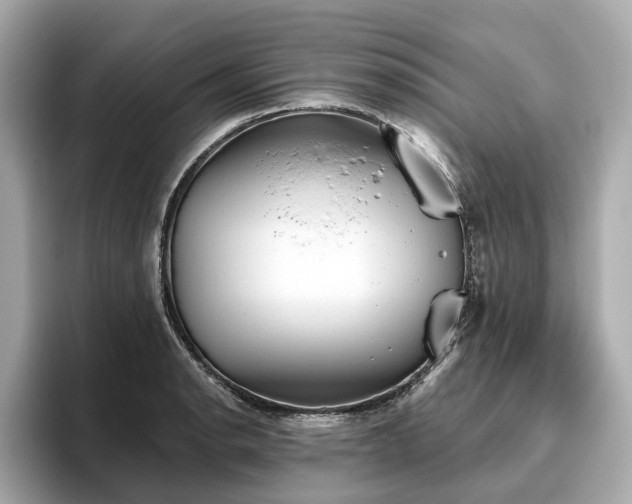 X0000096631134200802051101