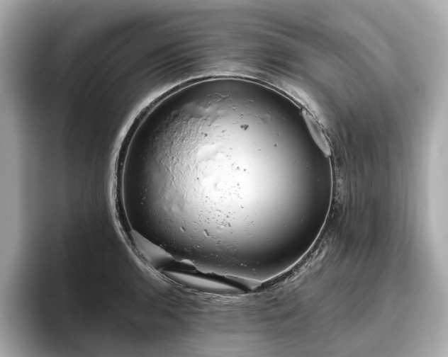 X0000096631136200802051101