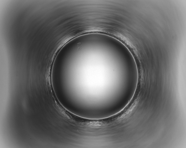 X0000096631137200802051101