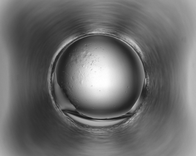 X0000096631138200802051101