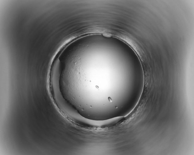 X0000096631139200802051101
