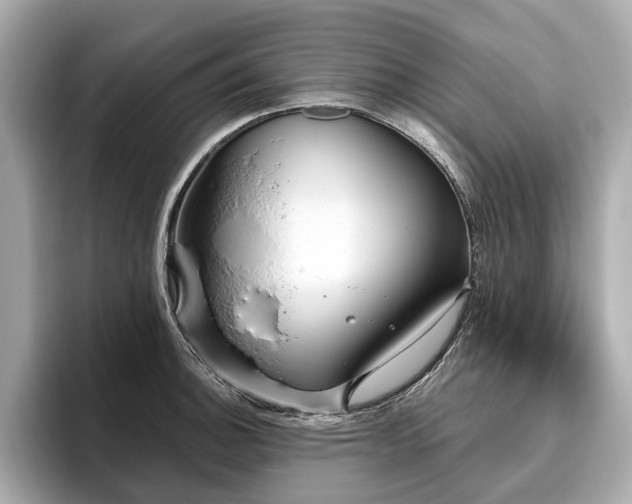 X0000096631140200802051101