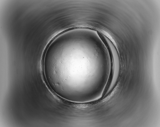 X0000096631141200802051101