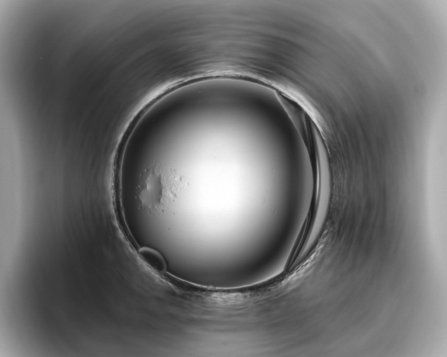 X0000096631142200802051101