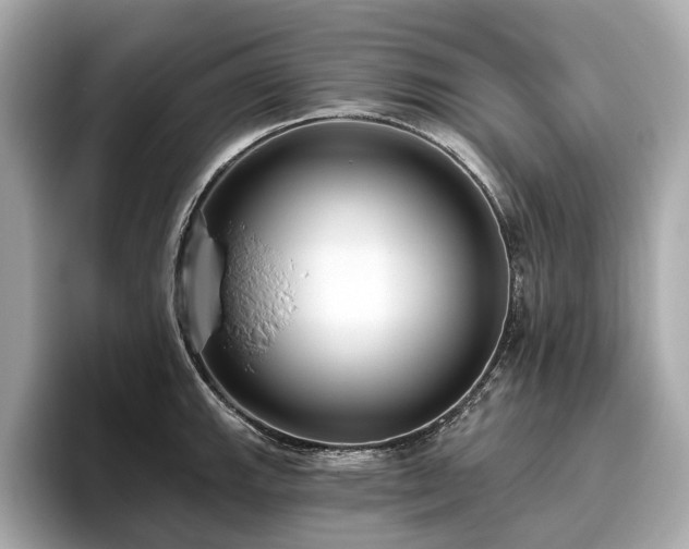 X0000096631143200802051101