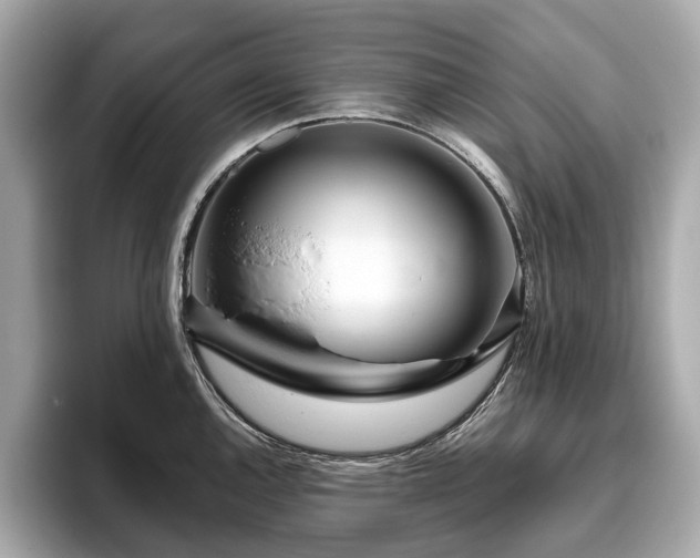 X0000096631144200802051101