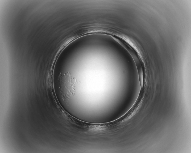X0000096631145200802051101