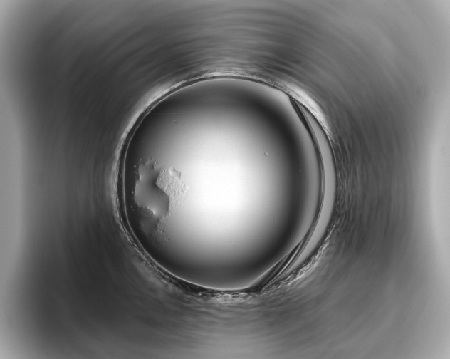 X0000096631146200802051101