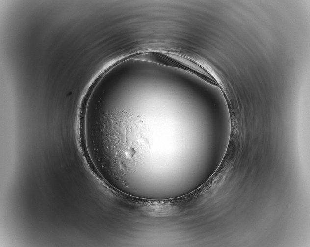 X0000096631147200802051101