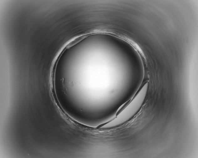 X0000096631148200802051101