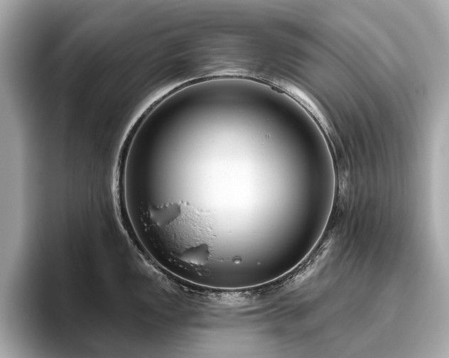 X0000096631149200802051101