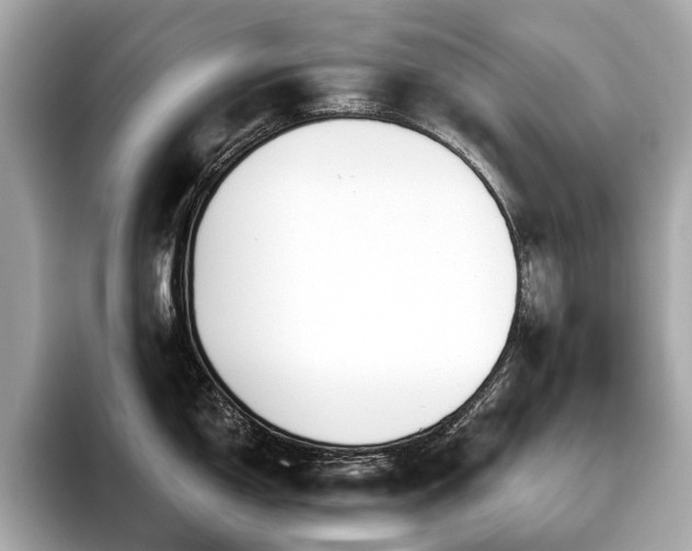 X0000096631150200802051101