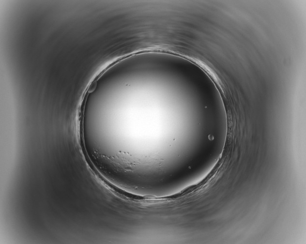 X0000096631151200802051101