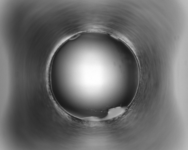 X0000096631152200802051101