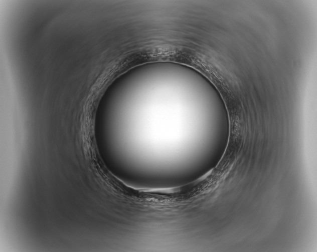 X0000096631153200802051101