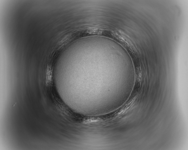 X0000096631154200802051101