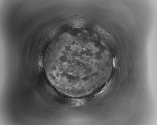 X0000096631155200802051101