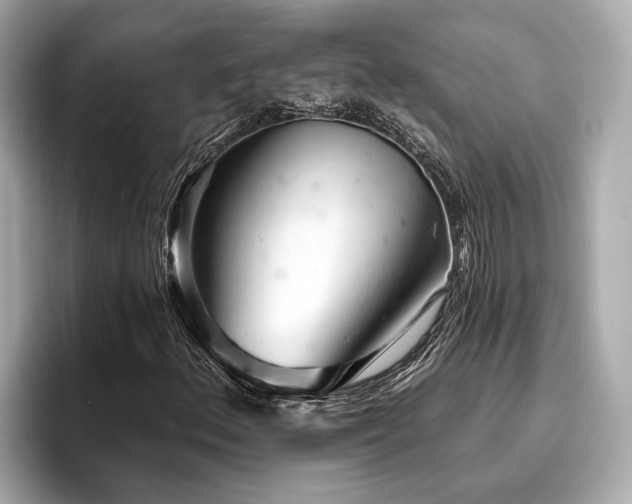 X0000096631156200802051101