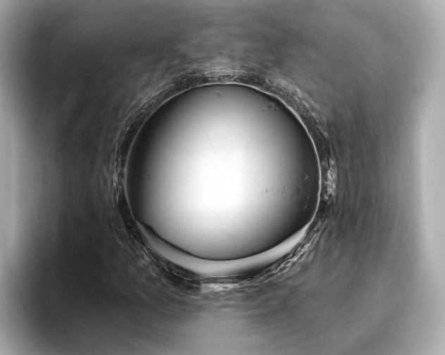 X0000096631157200802051101