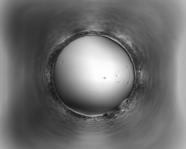 X0000096631159200802051101