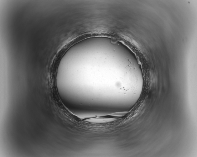 X0000096631160200802051101