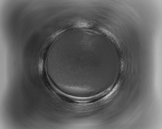 X0000096631161200802051101