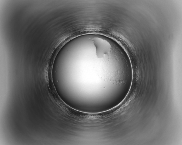X0000096631162200802051101