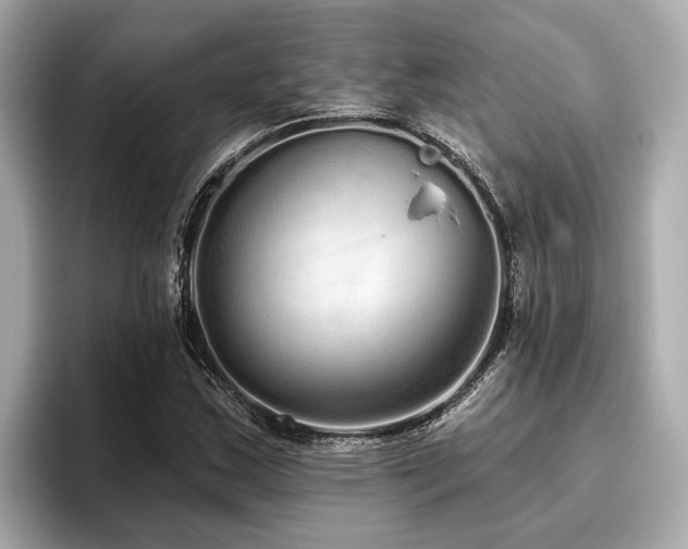 X0000096631163200802051101