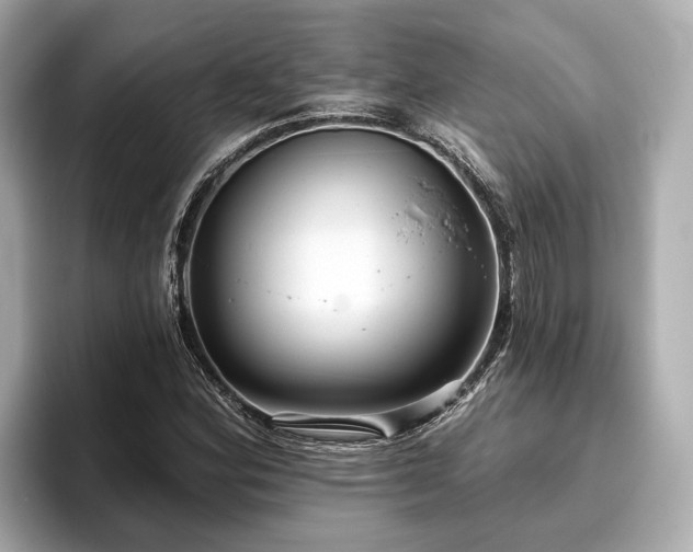 X0000096631164200802051101