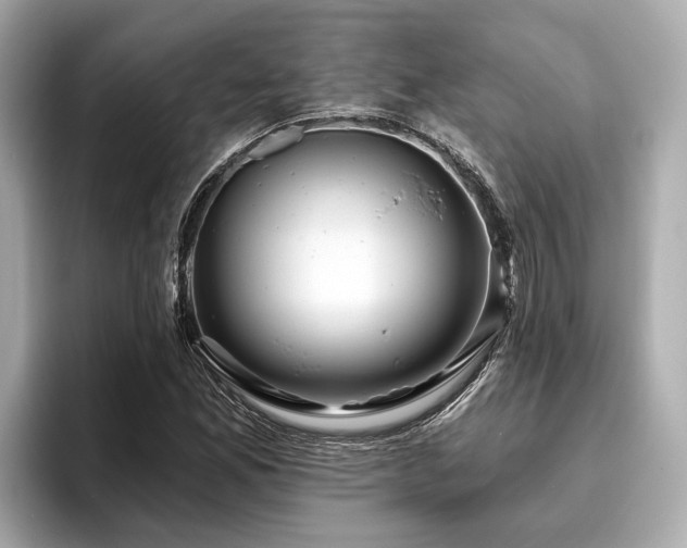 X0000096631165200802051101