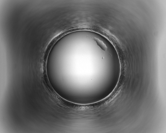 X0000096631166200802051101