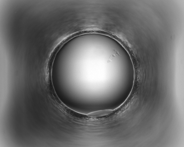 X0000096631167200802051101