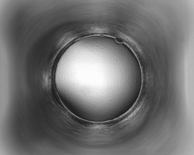 X0000096631170200802051100