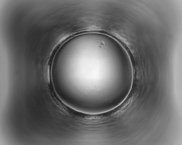 X0000096631171200802051100